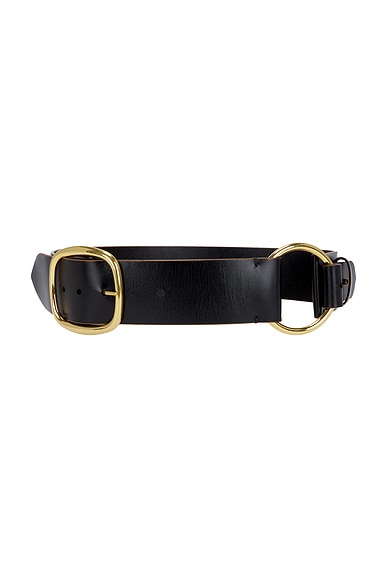 Chloe Wide Buckle Belt in Black