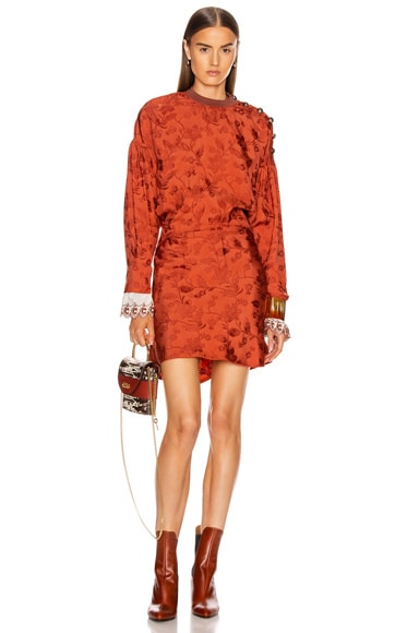 Long Sleeve Mini Dress