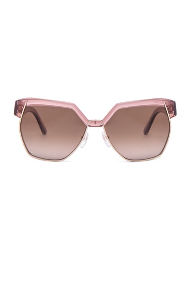 Chloe dafne hot sale sunglasses