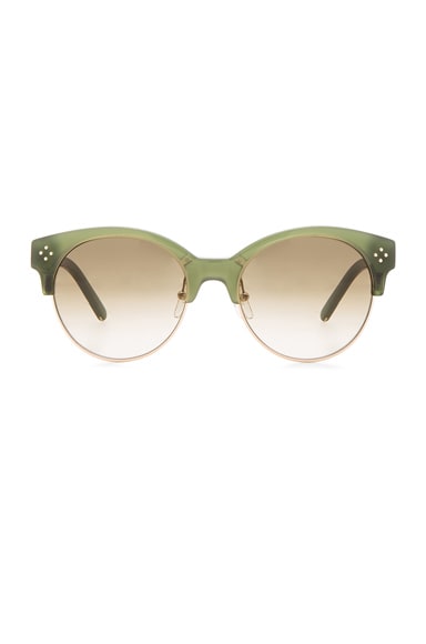 Chloe stup boxwood sunglasses