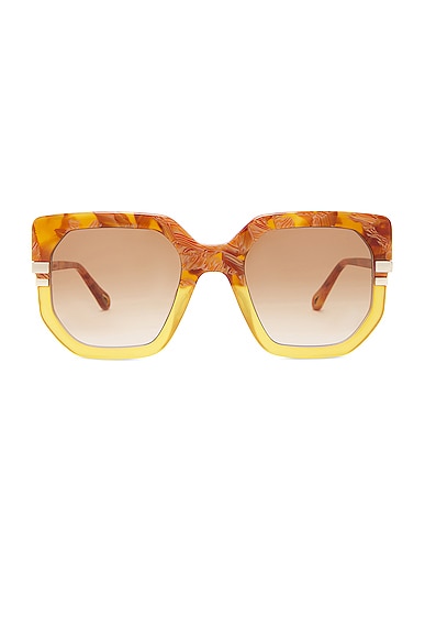 Chloe Butterfly Sunglasses in Brown