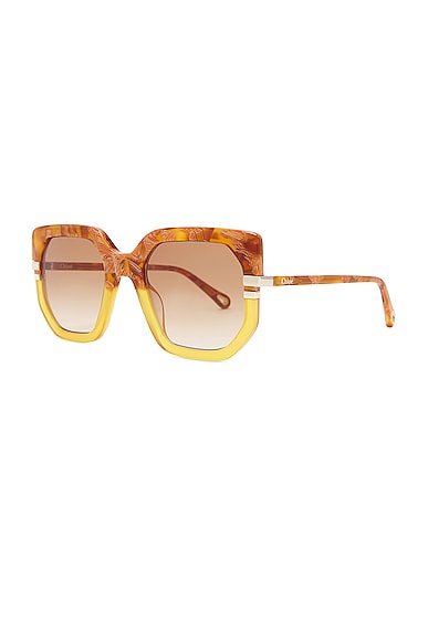Shop Chloé Butterfly Sunglasses In Brown