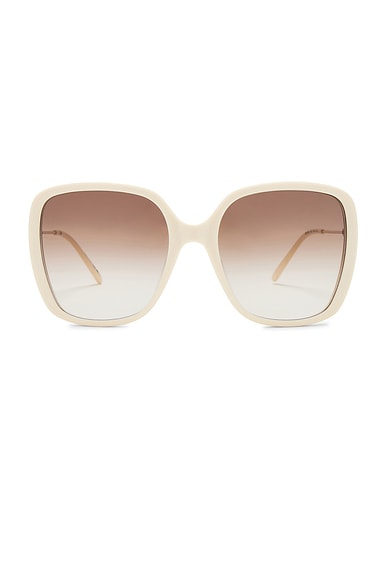 Chloe Square Sunglasses in Ivory, Gold, & Brown