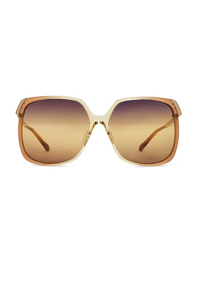 Square Sunglasses