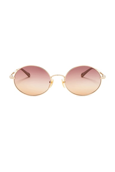 Aly Petit Sunglasses