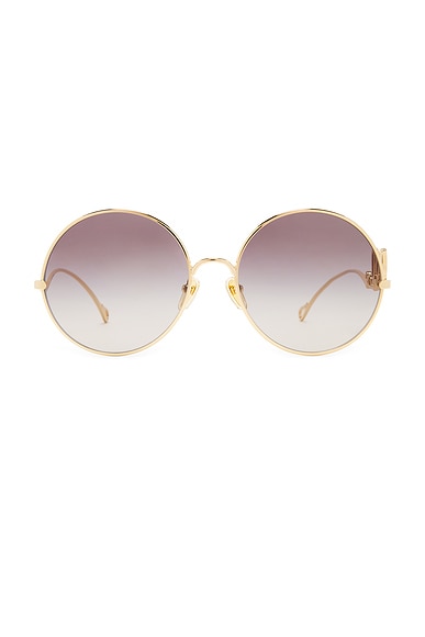 Iconic Sunglasses