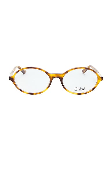 Judy Round Optical Eyeglasses