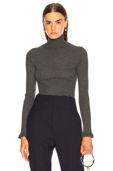 Fine Rib Wool Knit Turtleneck Sweater