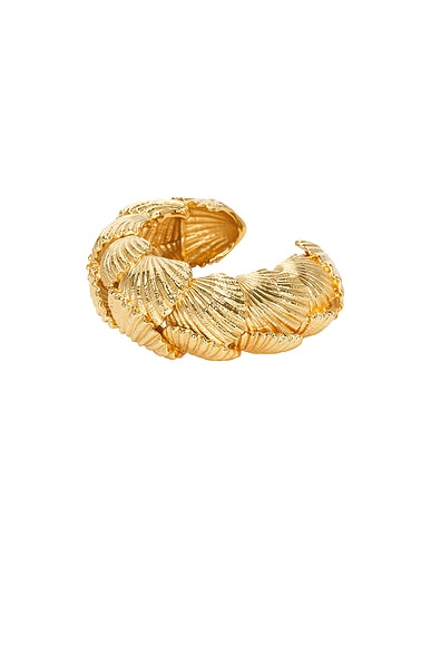 Shell Bracelet