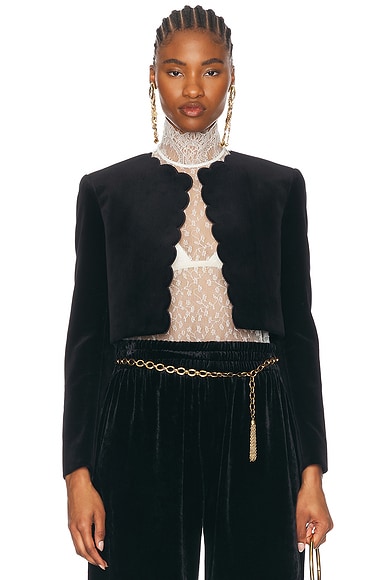 Scallop Jacket
