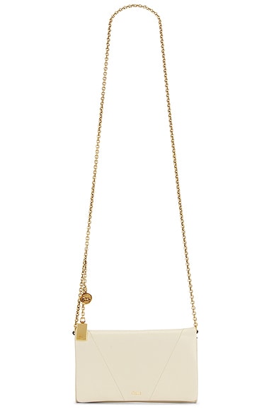 Foulard Chain Shoulder Bag in Vegetal Beige