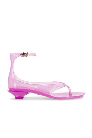 Jelly Sandal