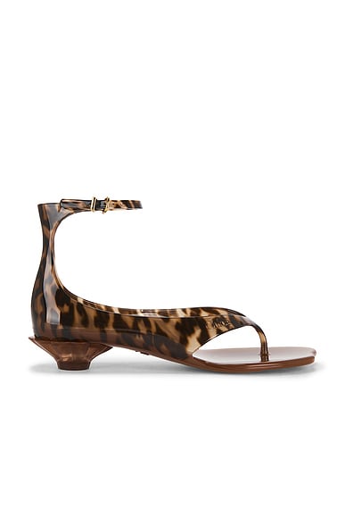 Chloe Jelly Sandal in Black & Brown