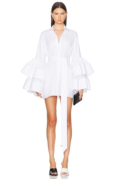 Ruffle Sleeve Mini Dress