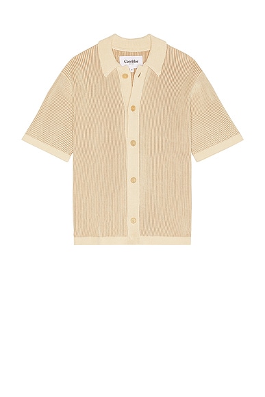 Button Down Shirt
