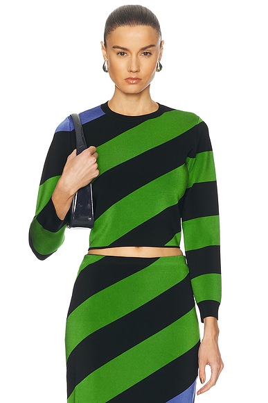 Long Sleeve Cropped Top