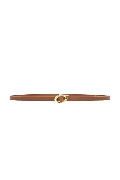 Orbite Belt
