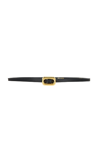 DEHANCHE Venura Belt in Black & Gold