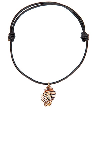 Shell Necklace