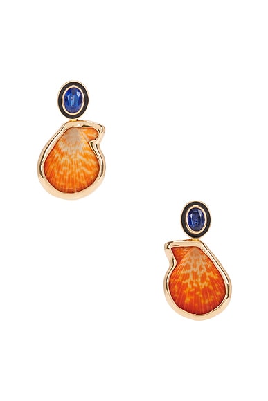 Palm Beach Clam Kyanite Earrings