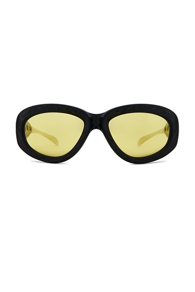 Oval Sunglasses