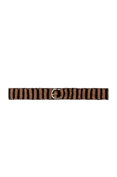 Diotima Crochet Belt in Brown,Black