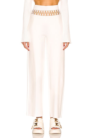 Dion Lee Net Suspended Pant in Ivory
