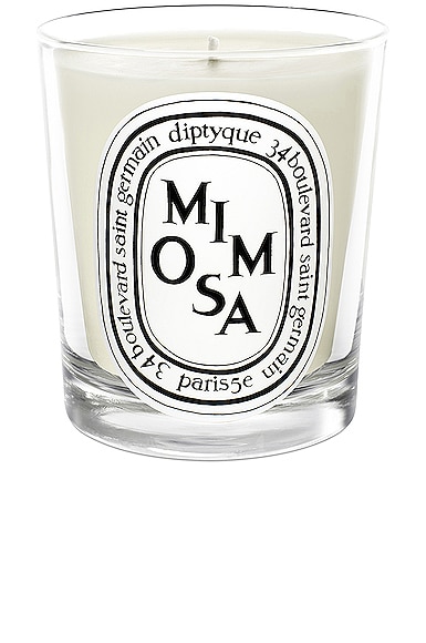 Mimosa Scented Candle