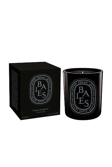 Diptyque Baies Scented Color Candle In N,a