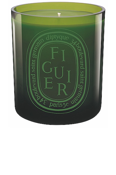 Figuier Medium Candle