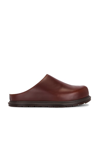 Orleans San Mule