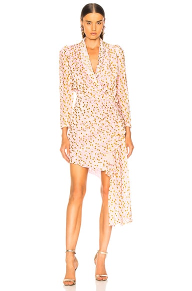 Ava Mini Dress Devore