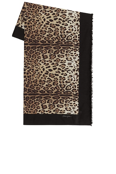 Dolce & Gabbana Cotton Pareo in Leopard