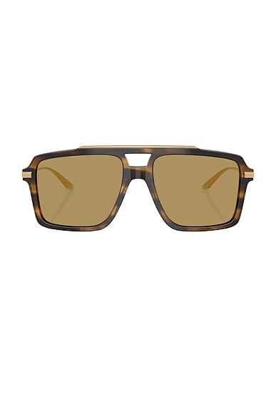 Dolce & Gabbana Shield Sunglasses in Brown