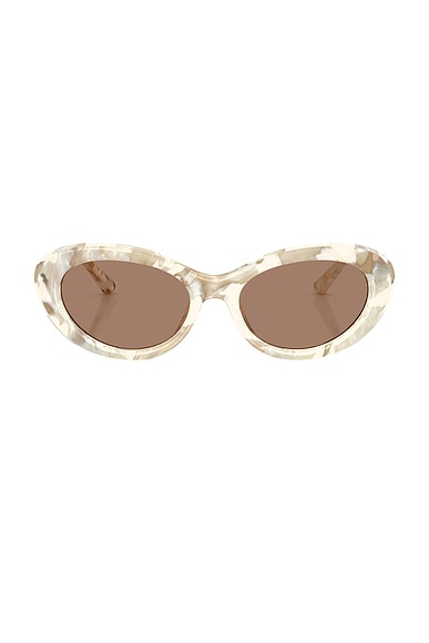 Oval Sunglasses