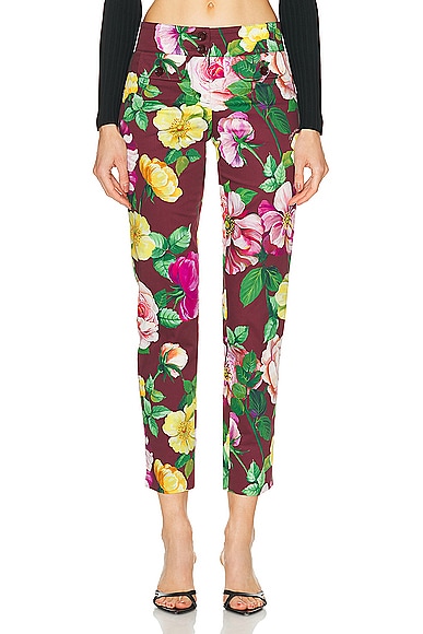Dolce & Gabbana Floral Pant in Camelia