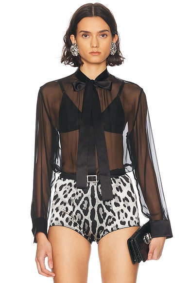 Sheer Long Sleeve Blouse