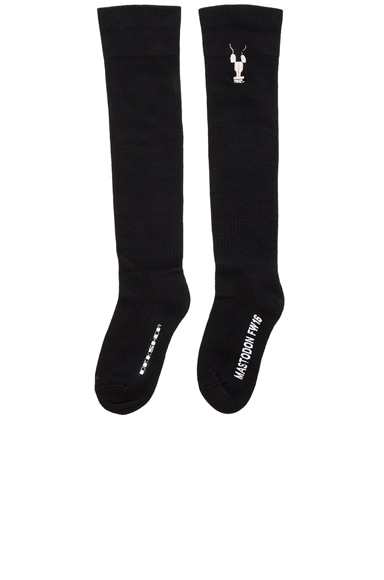 Mastodon Knee High Socks
