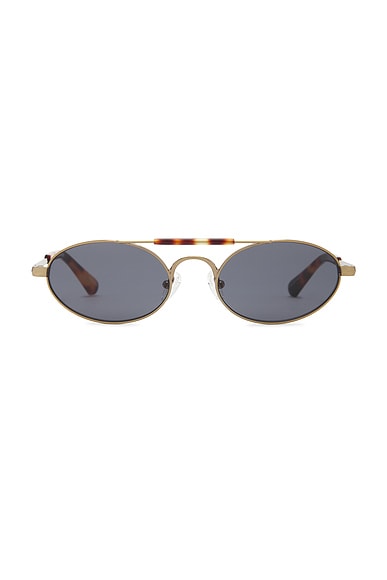 Oval Sunglasses