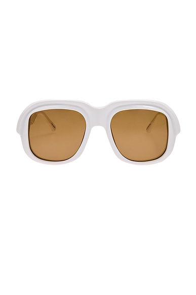 Square Sunglasses