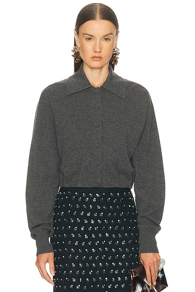 Dries Van Noten Tigre Cardigan in Dark Grey