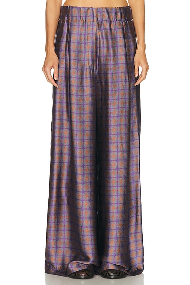 Dries Van Noten Pila Pants in Purple