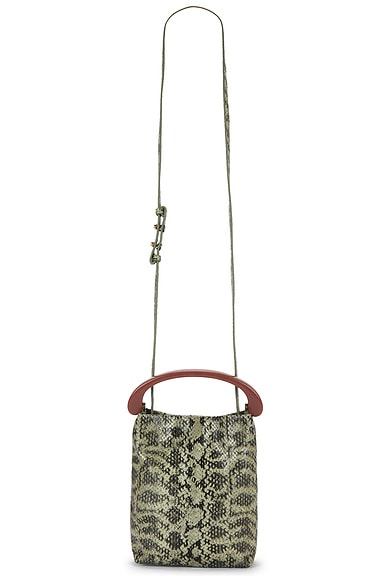 Small Resin Handle Crossbody Bag