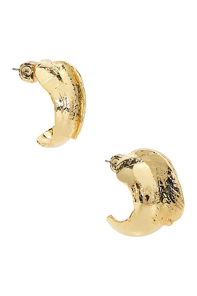 Demarson Shell Earrings in Gold