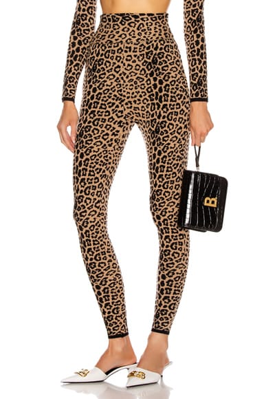 High Waisted Leopard Pant