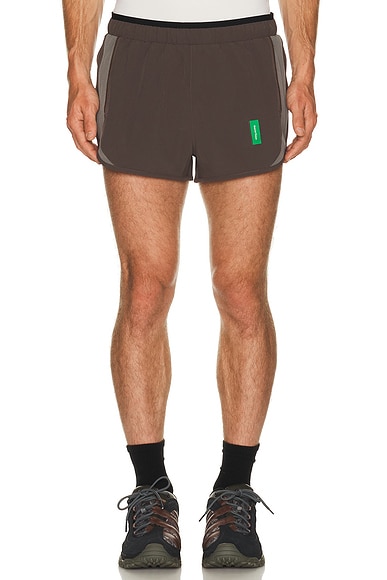 2" Training Shorts