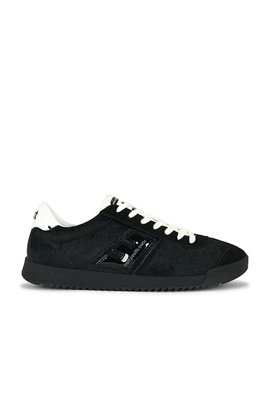 East Pacific Bonito Sneaker