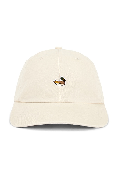 Duck Cap