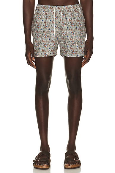 Edmmond Studios Wildlife Swim Shorts in Plain Brown