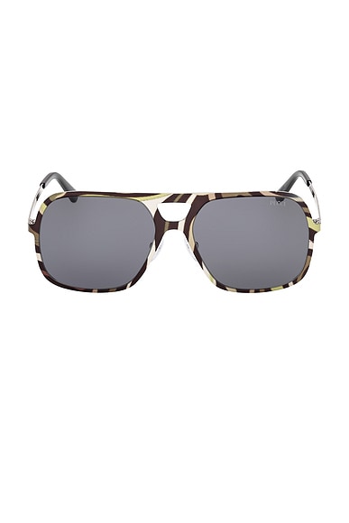 Navigator Sunglasses